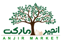انجیر مارکت